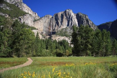 Meadow in Yosemite Valley