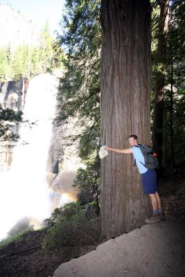 Treehugger