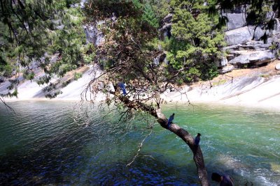 Just above Vernal Fall