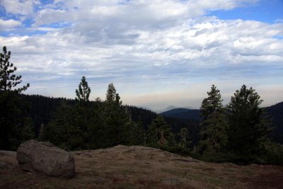 Forest fires