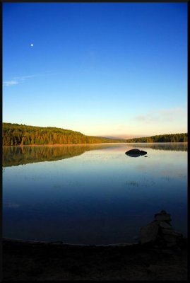 IMG_9169_resized.JPG