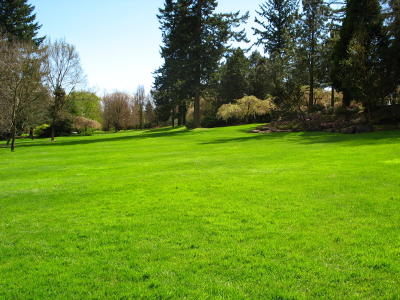 Lawn at the van Deusen gardens