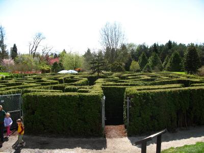 We won! We found the centre of the maze!