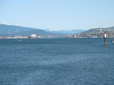 The harbour
