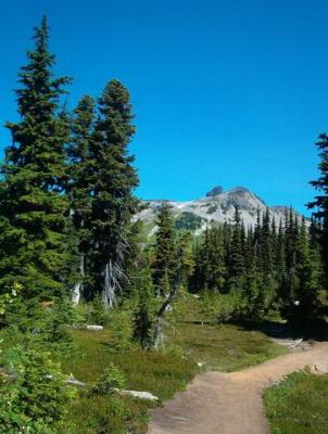 Towards Black Tusk
