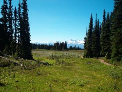 View towards the Tantalus range