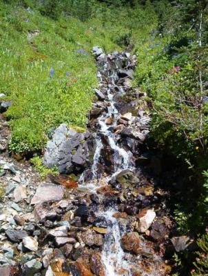 Mountain stream