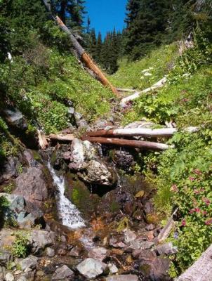 Mini-log jam