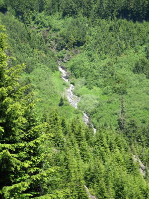 Creek running down from the mountains