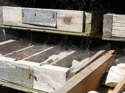 Core samples