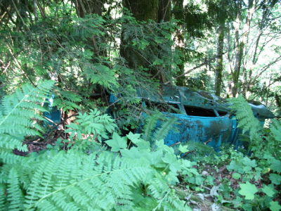 Someone tried to drive up the logging road and failed...