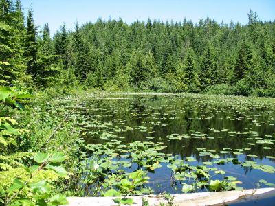 The lake was nice... the clouds of mosquitos surrounding it were not