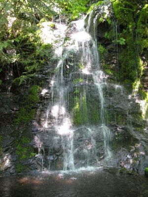 Waterfall along the trail