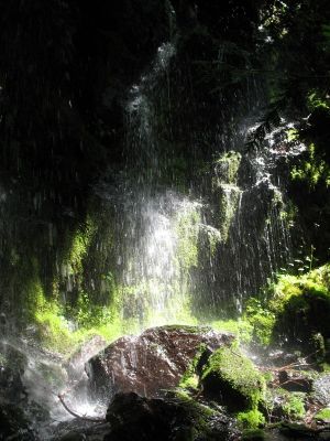 At the bottom of the waterfall