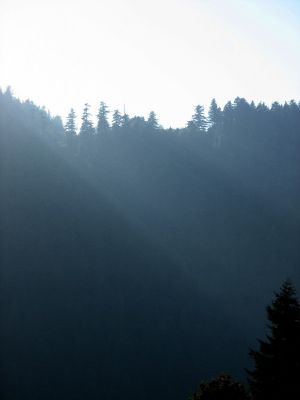 Evening light