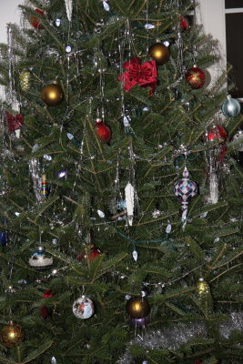 Our beautiful, environmentally-friendly, fresh-cut christmas tree!