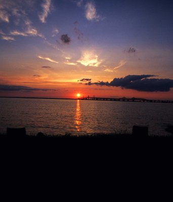 Miscellaneous Images from around the world