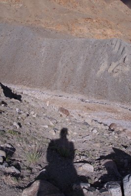 100_2602.jpg