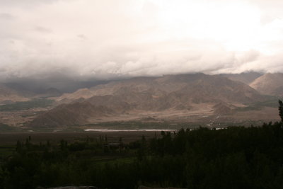 IMG_2565.JPG