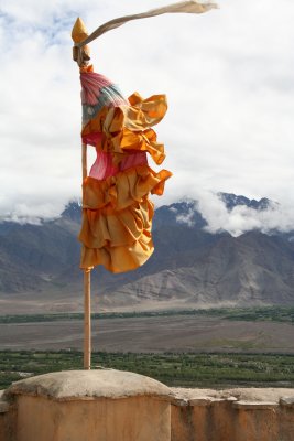 IMG_2665.JPG