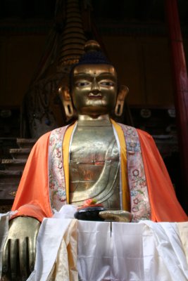 IMG_2704.JPG
