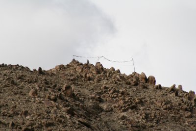 IMG_2845.JPG