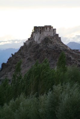 IMG_2870.JPG