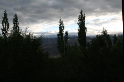 IMG_2904.JPG