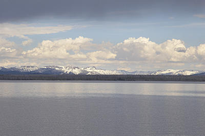 IMG_0775.jpg