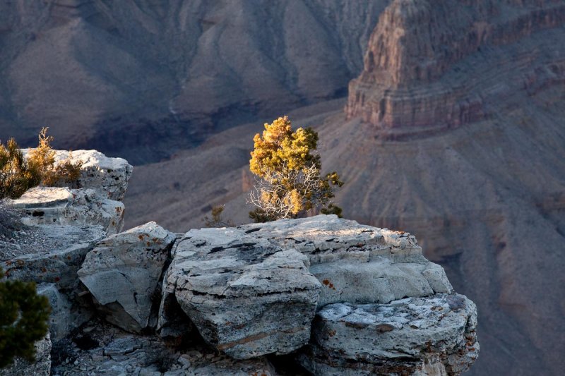 Grand Canyon-55.jpg