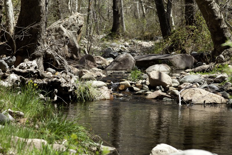 Reynolds Creek 2012-10.jpg