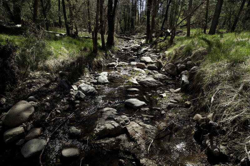 Reynolds Creek 2012-2.jpg