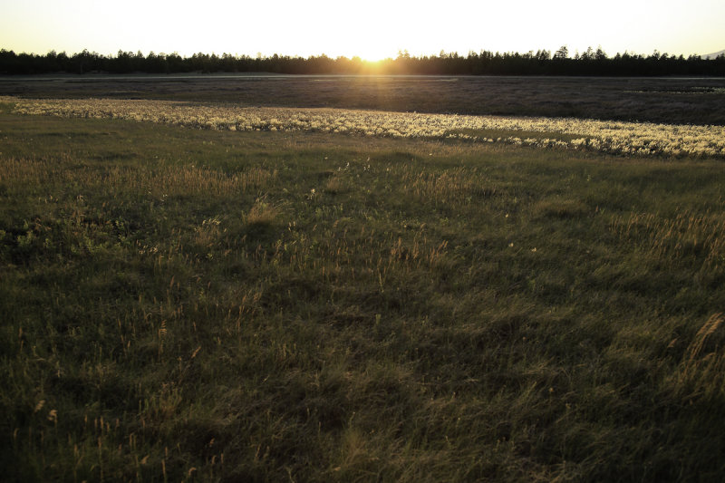 Marshall Lake 2012-12.jpg