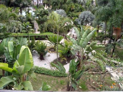  Botanical Garden