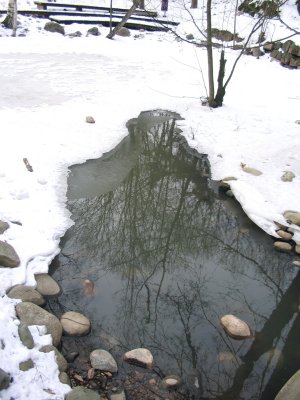 Stones and Reflections 2