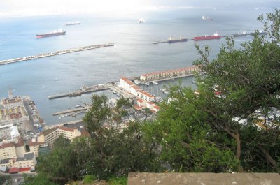 View over the Harbour 4