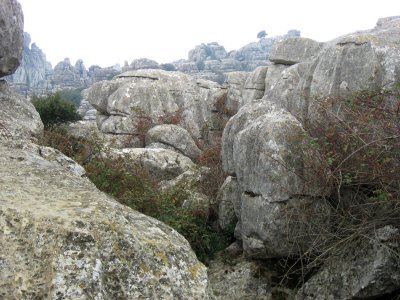 Limestone Rock Formations 17