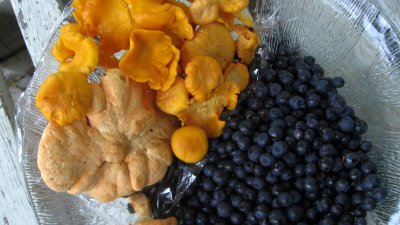 Fresh Mushrooms and Bilberries / Blueberries