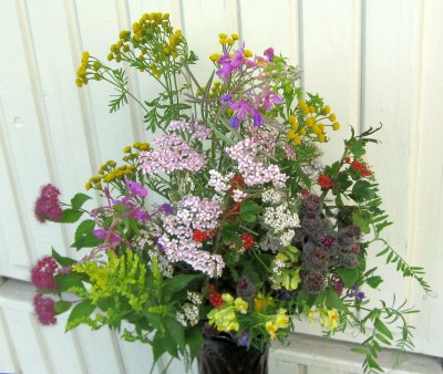Bunch of Summer Flowers and Plants
