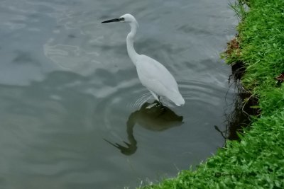 Thailand, Lumpini Park