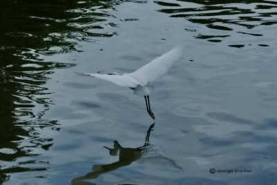 Thailand, Lumpini Park