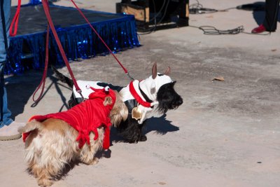 Costume Contest