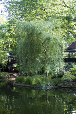 Lafayette Park Pond 2