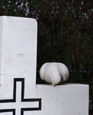 Dove On Cross