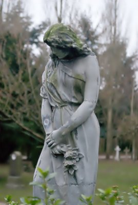 Woman With Roses