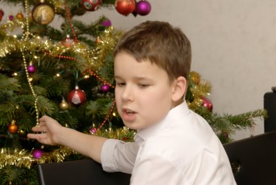 Trimming the Tree