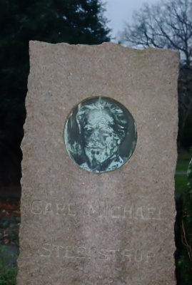 Copper Face In Granite