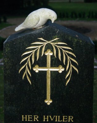 White Dove On Black Stone
