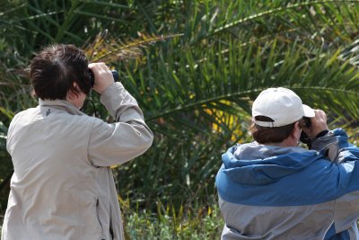 Birding Buds