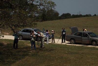 Birding at the ranch